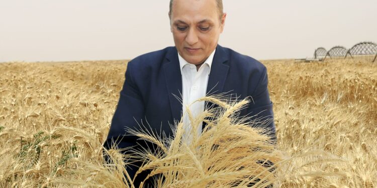 الريف المصري