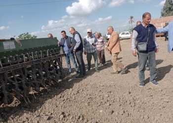 محصول القمح