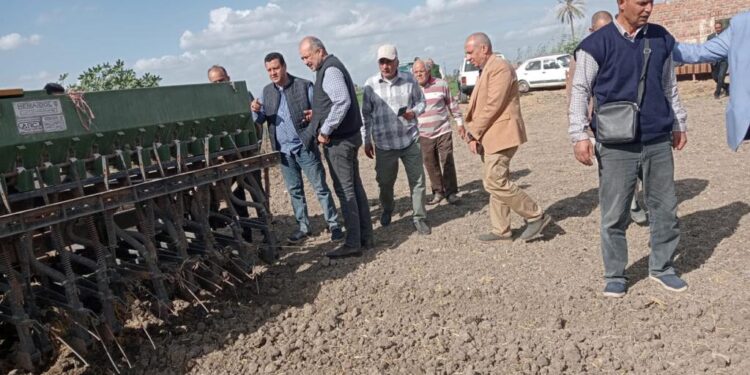 محصول القمح