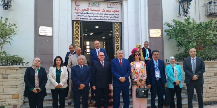 مركز البحوث