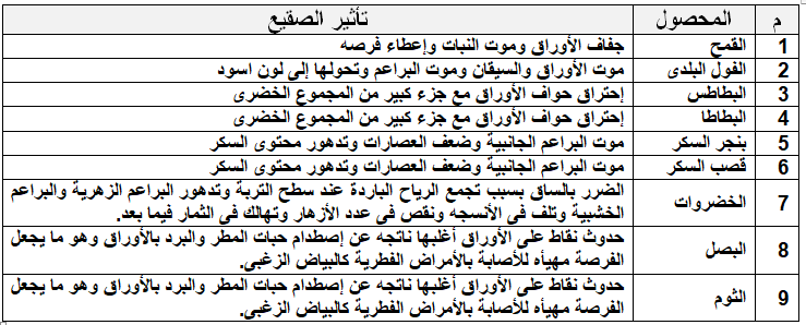 تأثير الصقيع