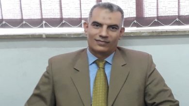 "المحطات البحثية".. قاطرة التنمية الزراعية في مصر 12 المحطات البحثية