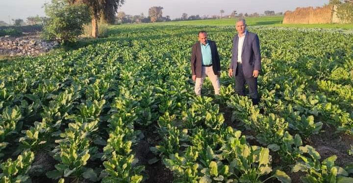د. رضا عليوه يتفقد محصول بنجر السكر بالقوصية 1 د. رضا عليوه يتفقد محصول بنجر السكر بالقوصية