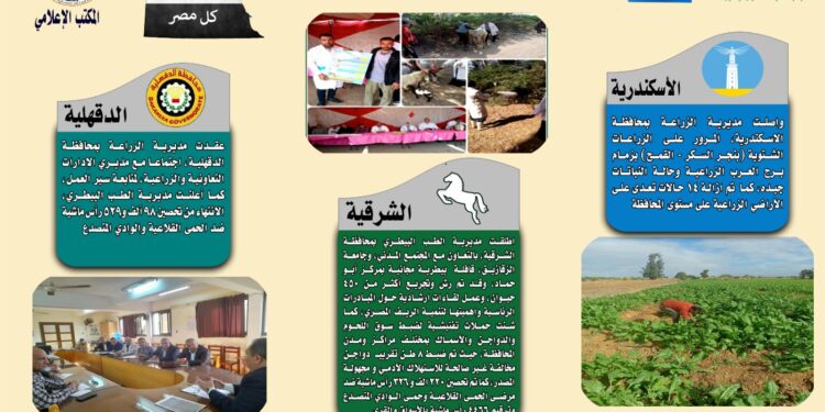 انفوجراف وفيديو| تعرف على أنشطة وجهود مديريات الزراعة والطب البيطري خلال أسبوع 1 انفوجراف وفيديو| تعرف على أنشطة وجهود مديريات الزراعة والطب البيطري خلال أسبوع