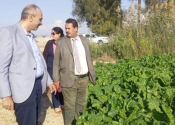 د. محمد يوسف يتفقد منافذ توزيع التقاوي والأسمدة بالإسكندرية