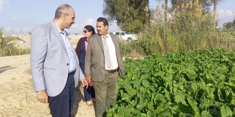 د. محمد يوسف يتفقد منافذ توزيع التقاوي والأسمدة بالإسكندرية 1 د. محمد يوسف يتفقد منافذ توزيع التقاوي والأسمدة بالإسكندرية