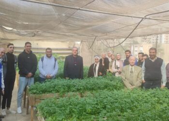 IMG 20231205 WA0021 1