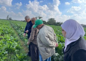 ندوة إرشادية بمركز طوخ بالقليوبية