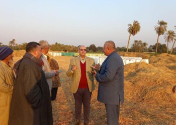 الزراعة والداخلية” تواصلان التفتيش على مفارش البصل بالدقهلية والفيوم
