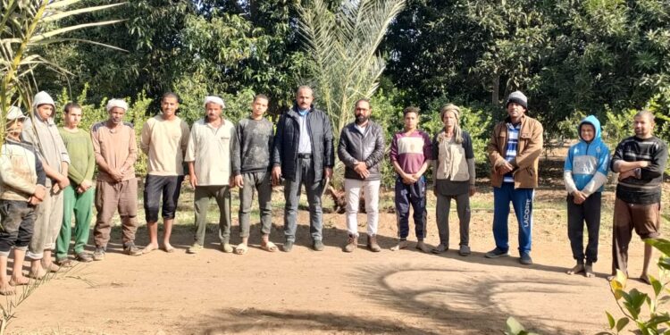 المعمل المركزي للنخيل ينظم يوم حقلي بقرية أبا الوقف بمغاغة 1 المعمل المركزي للنخيل ينظم يوم حقلي بقرية أبا الوقف بمغاغة