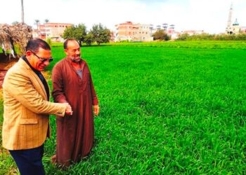 وكيل زراعة البحيرة يتفقد زراعات القمح ويستمع لشكاوى المزارعين