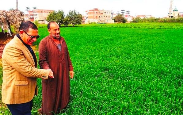 وكيل زراعة البحيرة يتفقد زراعات القمح ويستمع لشكاوى المزارعين