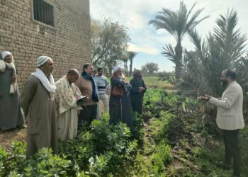 المعمل المركزي للنخيل