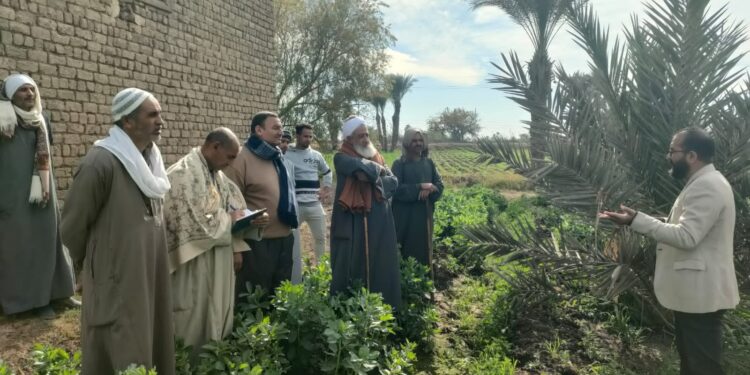 المعمل المركزي للنخيل بالمنيا ينظم مدرسة حقلية بـ"ملوي" 1 المعمل المركزي للنخيل