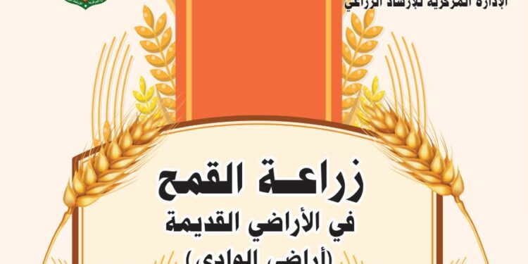 القمح في الأراضي القديمة ..نشرة إرشادية (PDF) 1 القمح في الأراضي القديمة ..نشرة إرشادية (PDF)