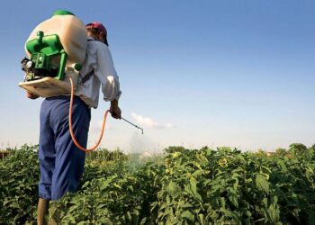 الإدارة المركزية للمكافحة