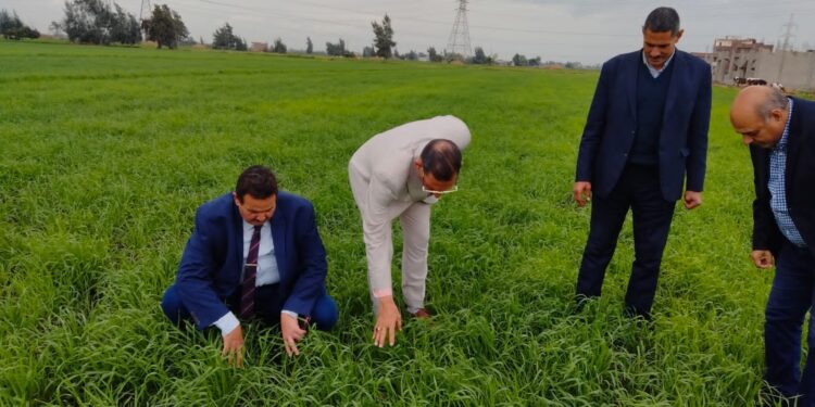 رئيس الإدارة المركزية للإرشاد يتفقد منافذ الزراعة والمحاصيل الشتوية بالبحيرة 1 الزراعة