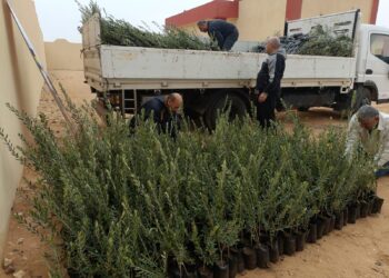 وزير الزراعة