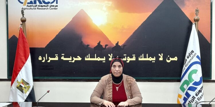 القطن حقائق وأسرار.. أحدث إصدار للدكتورة أمل عويس باللغة الإنجليزية 1 القطن