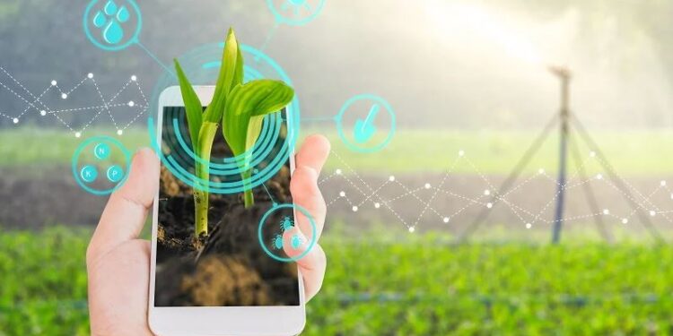 العيادة الزراعية الذكية ومزايا التحول الرقمي 1 العيادة الزراعية الذكية