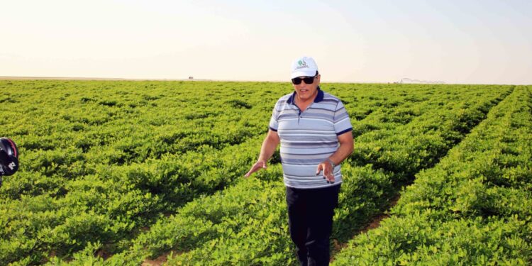 الريف المصرى الجديد تعلن حصول ١٣٠٠ شركة على "كارت الفلاح" 1 الريف المصرى