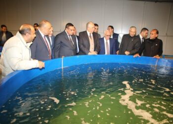 مفارخ الأسماك