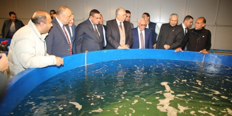 وزيرا الزراعة والتنمية المحلية ومحافظ بورسعيد يتفقدون مفارخ الأسماك ببورسعيد 1 مفارخ الأسماك