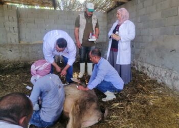 بحوث الصحراء