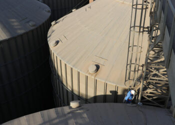 آفات الحبوب