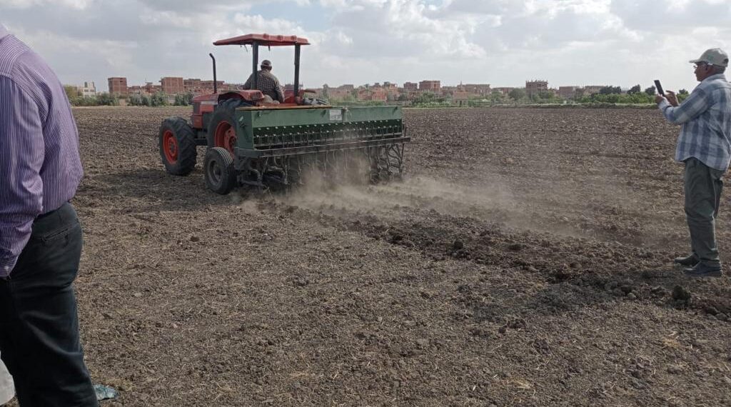 القمح على مصاطب