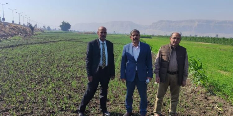 وفد من الزراعة يتفقد حقول محصول القمح بمحافظة سوهاج 1 محصول القمح