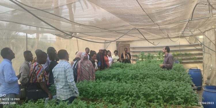 معمل المناخ الزراعي يستقبل وفد من متدربي المركز المصري الدولي 1 معمل المناخ الزراعي