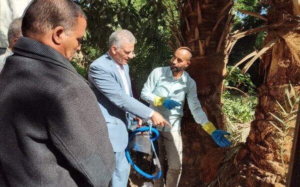 "عليوه" يشارك في تدريب مهندسي المكافحة ضد سوسة النخيل الحمراء 1 سوسة النخيل الحمراء