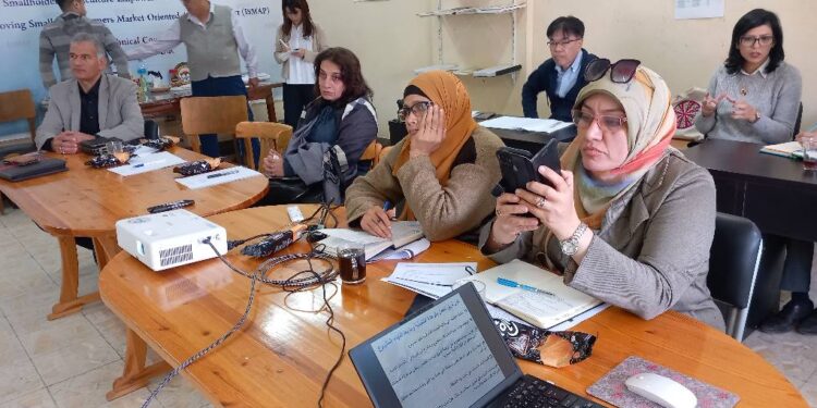 أنشطة السيدات