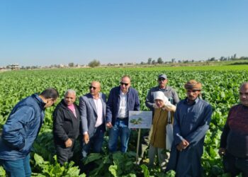 وقاية النباتات