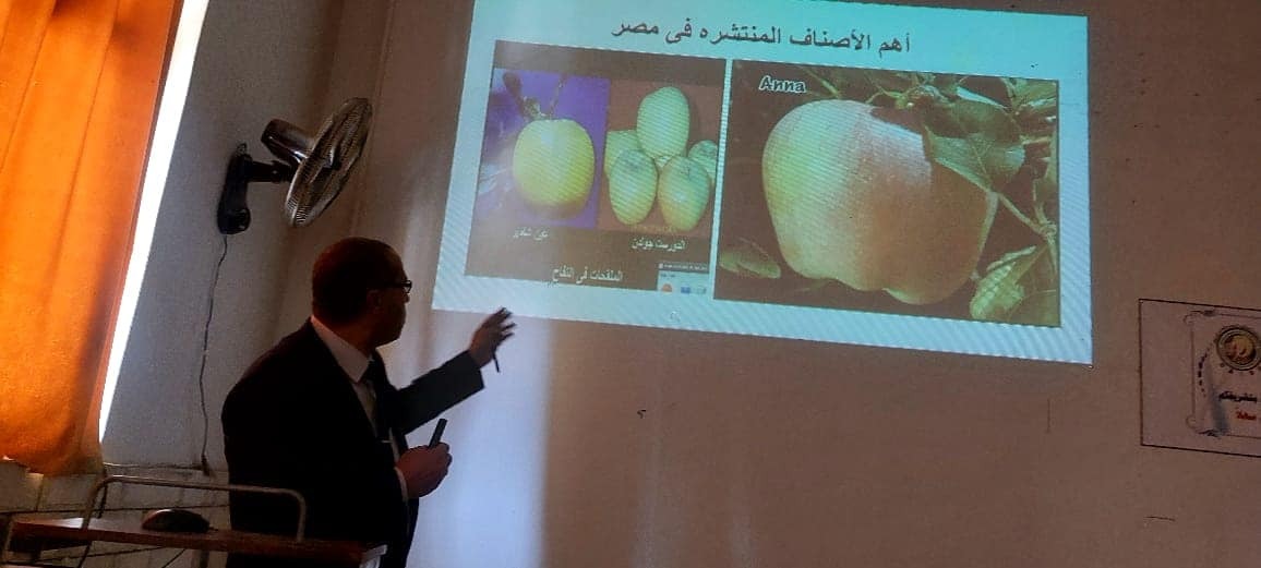 إزالة 12 حالة تعدي على الأراضي الزراعية بالإسكندرية 12 البساتين