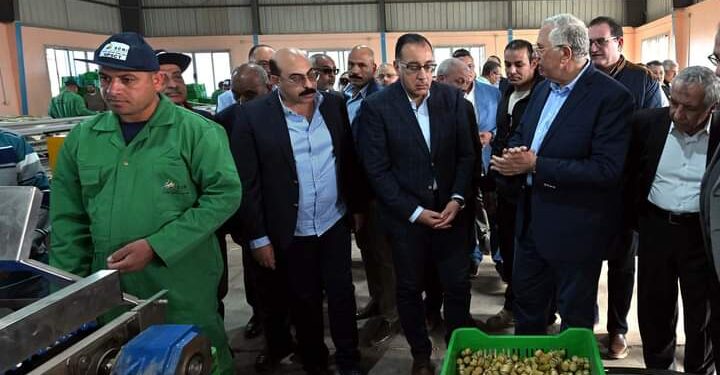 رئيس الوزراء يتفقد محطة شتلات قصب السكر بكوم امبو 1 رئيس الوزراء يتفقد محطة شتلات قصب السكر بكوم امبو