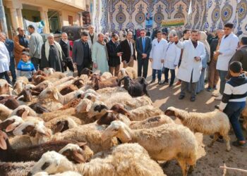 علي هامش قافلة بيطرية وإرشادية بالدقهلية..رئيس “زراعة النواب”: نستهدف تحقيق الأمن الغذائى