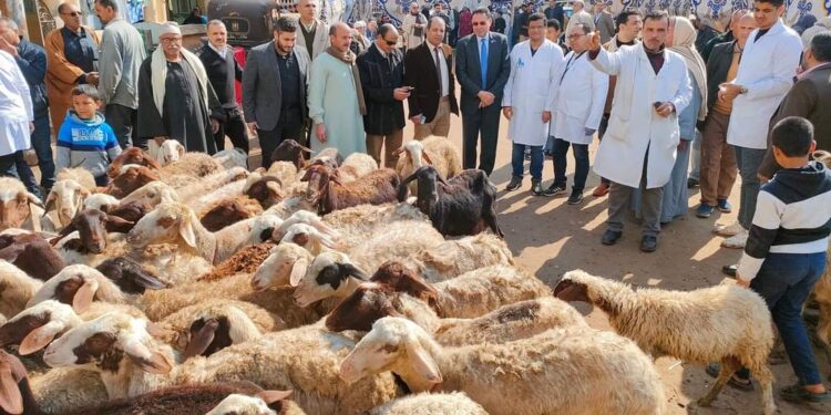 علي هامش قافلة بيطرية وإرشادية بالدقهلية..رئيس “زراعة النواب”: نستهدف تحقيق الأمن الغذائى