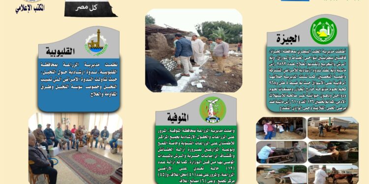 انفوجراف وفيديو|  تعرف على أنشطة وجهود مديريات الزراعة والطب البيطري خلال أسبوع 1 انفوجراف وفيديو|  تعرف على أنشطة وجهود مديريات الزراعة والطب البيطري خلال أسبوع