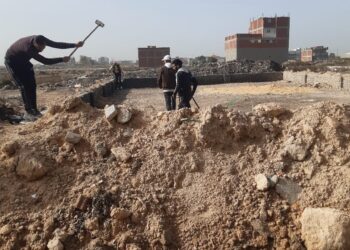 إزالة 9 حالات تعد علي الأرض الزراعية بالإسكندرية 5 إزالة 9 حالات تعد علي الأرض الزراعية بالإسكندرية