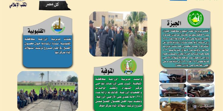 انفوجراف وفيديو| تعرف على أنشطة وجهود مديريات الزراعة والطب البيطري خلال أسبوع 1 انفوجراف وفيديو| تعرف على أنشطة وجهود مديريات الزراعة والطب البيطري خلال أسبوع