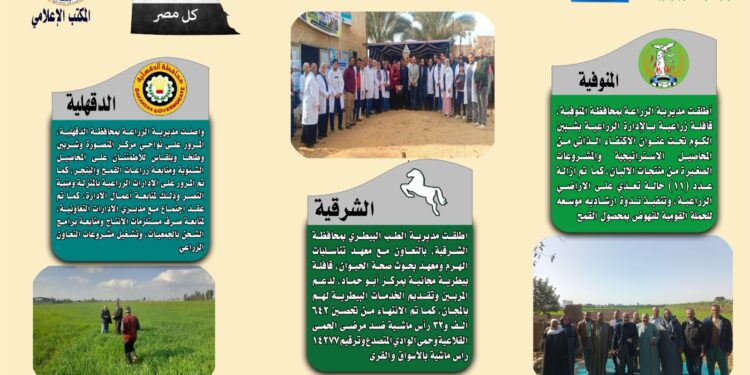 انفوجراف وفيديو| تعرف على أنشطة وجهود مديريات الزراعة والطب البيطرى خلال أسبوع 1 انفوجراف وفيديو| تعرف على أنشطة وجهود مديريات الزراعة والطب البيطرى خلال أسبوع