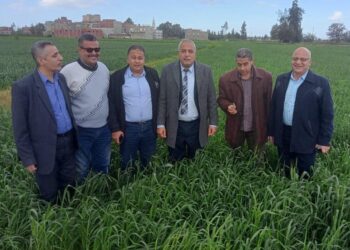 وكيل زراعة الغربية يتابع الزراعات الشتوية فى جولة ميدانية  