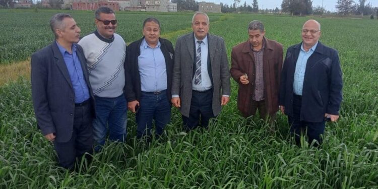 وكيل زراعة الغربية يتابع الزراعات الشتوية فى جولة ميدانية   1 وكيل زراعة الغربية يتابع الزراعات الشتوية فى جولة ميدانية