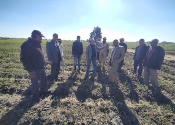 فريق إرشادى ريفى يتفقد محصول البصل بكفر الشيخ