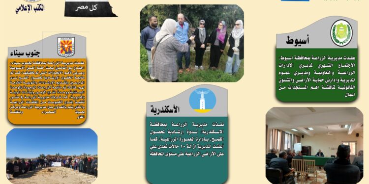 انفوجراف وفيديو|  تعرف على أنشطة مديريات الزراعة والطب البيطري خلال أسبوع 1 انفوجراف وفيديو|  تعرف على أنشطة مديريات الزراعة والطب البيطري خلال أسبوع