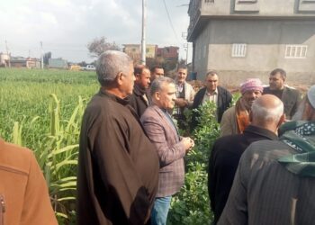 فريق الإرشاد الريفي بكفر الشيخ يواصل نشاطه