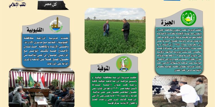 انفوجراف وفيديو| تعرف على أنشطة وجهود مديريات الزراعة والطب البيطري خلال أسبوع 1 انفوجراف وفيديو| تعرف على أنشطة وجهود مديريات الزراعة والطب البيطري خلال أسبوع