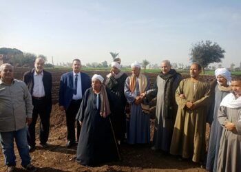 المحاصيل الشتوية